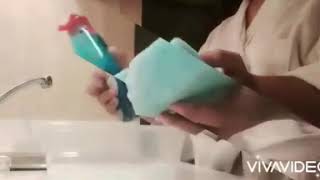 JOY Antibac w/ Safeguard dishwashing liquid