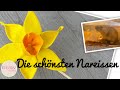 Osterdeko Zauberhafte Narzissen nähen aus Stoffresten 💕nähen für Anfänger Blumen nähen