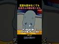 言葉を話せなくてもお母さんの愛は届くから