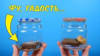 Прошло 10 месяцев! Эксперимент с поглотителем кислорода продолжается!