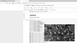PYNQ controls visual effect - 2