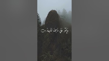 سورة العاديات #تلاوة_خاشعة #اكسبلور #دويتو #لايك #المصحف #قران #تيك_توك