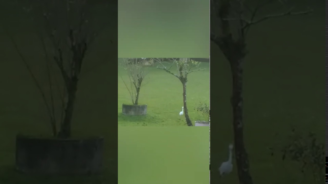 Nhyda Nhyda