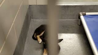 acs A677840