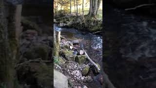 Best Place In Germany Neuenbürg-Zordel