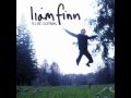 Liam finn - Lullaby