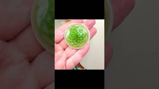 Who else loves uranium glass? #ptcglass #uraniumglass #lampwork #uranium #blacklightart #blownglass