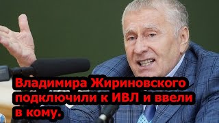 Владимира Жириновского подключили к ИВЛ и ввели в кому.