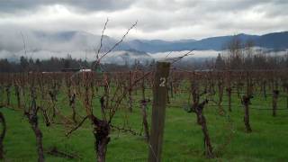 Troon Vineyard Applegate Valley Oregon.mp4