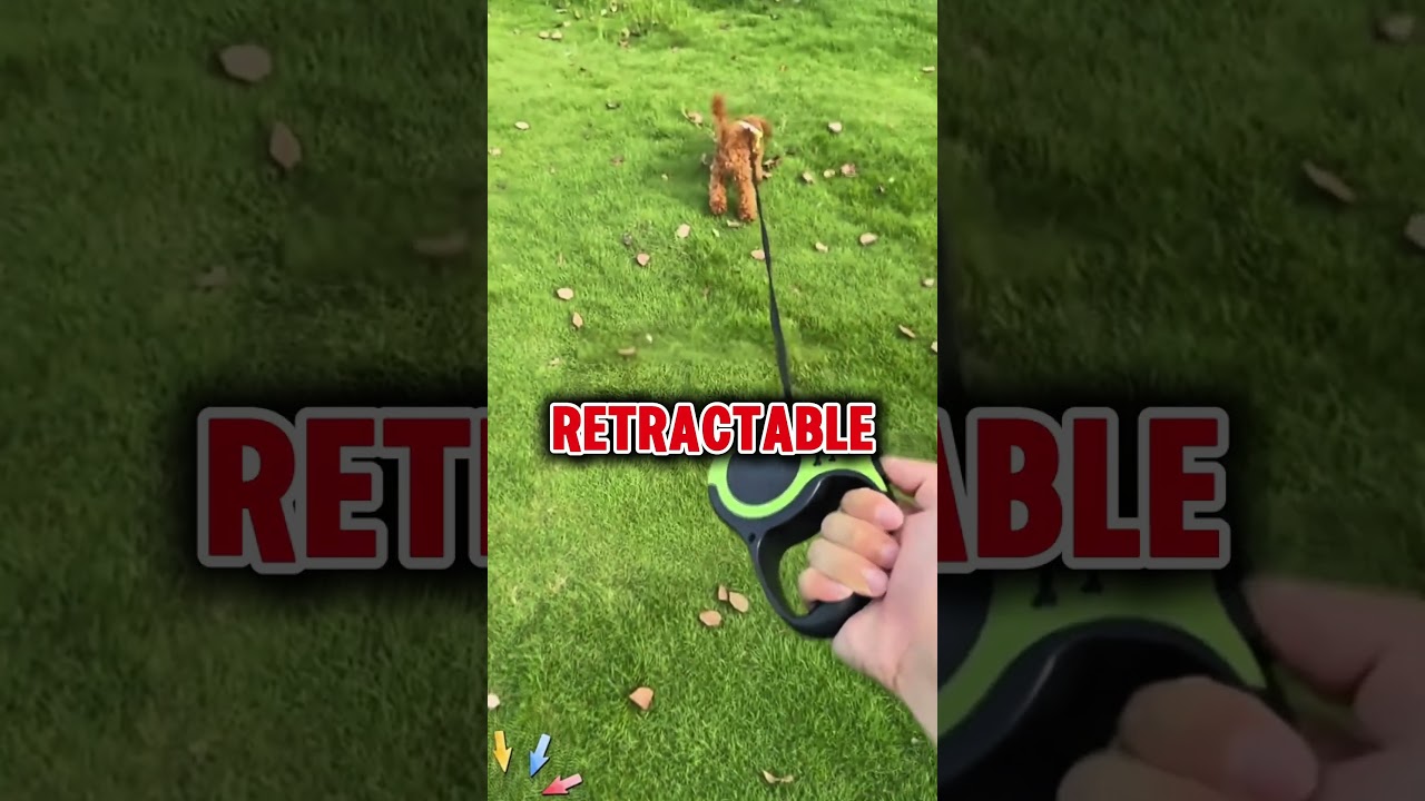​3 things you do out of love that actually hurt your dog #animals