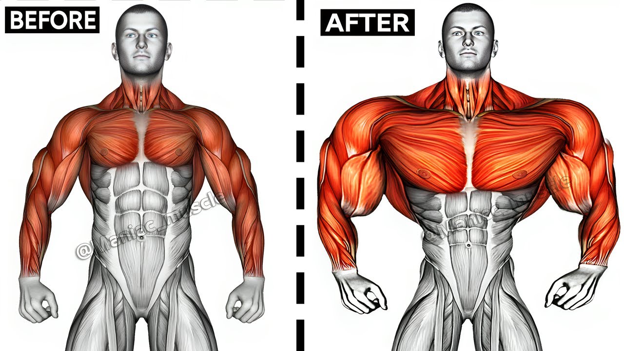 UPPER BODY WORKOUT WITH DUMBBELLS (Shoulderforearmschesttricepsback