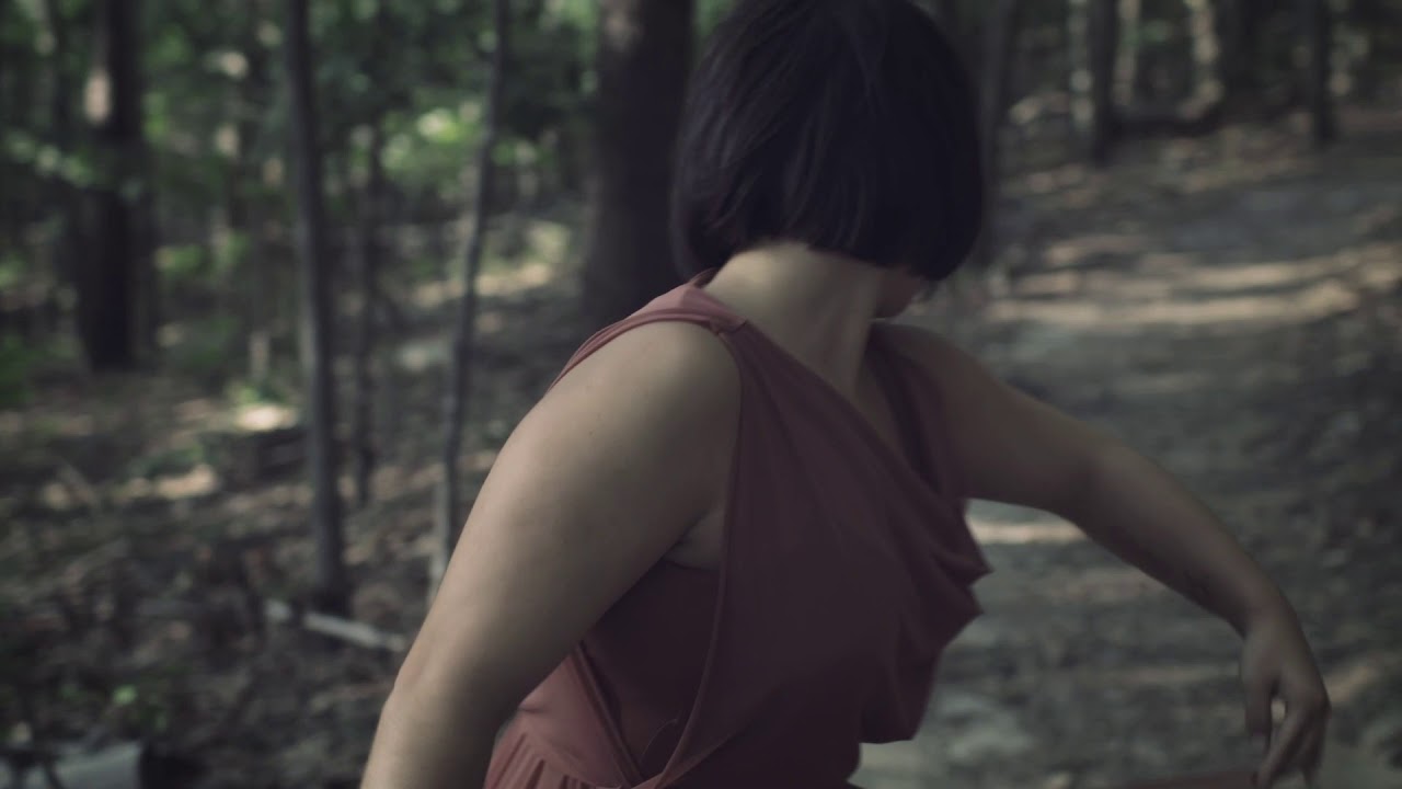 'Sentience' Official Album Teaser