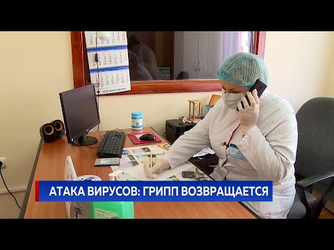 Атака вирусов: грипп