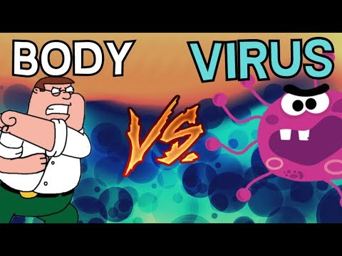 How does the body fight a virus? (immune system)