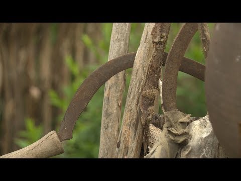 Wideo: Jak Wyglądał Dzień Pracy Kupca Od Początku XIX Wieku?