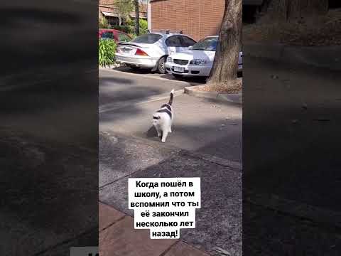 Школа.exe