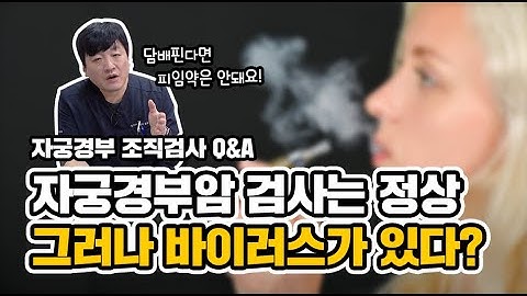 자궁경부암 검사는 정상인데 인유두종 바이러스가 나올 경우 어떻게 해야 하나요? | 자궁경부 조직검사 Q&A