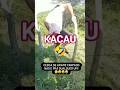 Video Lucu. #podcast #videolucu #videoshort #video #shortvideo #funny #lucu #bts #btsshorts