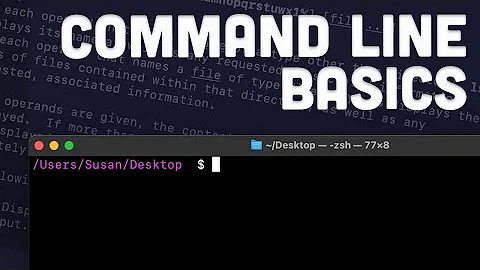 Command Line Basics for Web Developers (Terminal / Git Bash)