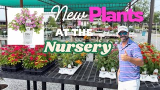 A Peek at Some NEW Plants at Our Nursery!!/Zone 9 Gardening/Garden Center 
