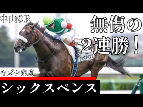 【今日競馬】デビュー2連勝！「僕は乗っていただけ」石川裕紀人騎乗の《シックスペンス》中山9Ｒひいらぎ賞2023/12/17