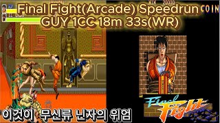 파이널 파이트 가이 스피드런(18분 33초) 원코인 클리어/Final Fight Guy SPEEDRUN 1CC 18m 33s