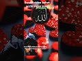 Islami video mein achcha video Makka madina ♥️♥️♥️♥️💯💯