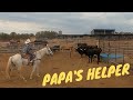 Papa's Helper