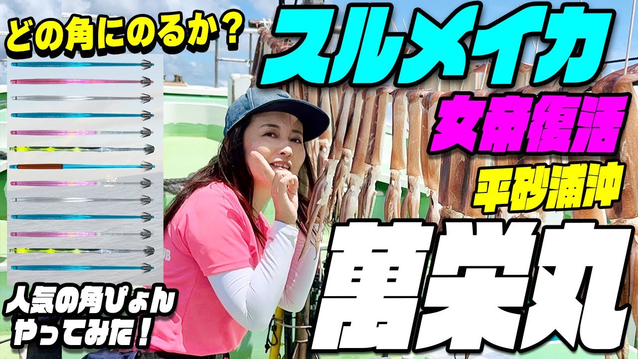 女帝復活！竿頭！萬栄丸 平砂浦～洲崎沖～城ヶ島沖 スルメイカ釣り 今回はどの角に乗るのか調べてみました～ 洲崎～平砂浦沖のスルメイカも型が良くずっしり楽しめました。一番乗った角はあの角！