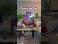 Bees in their natural habitat #funny #trending #trap #podcast #bestfriend #podcastclips #fyp #comedy