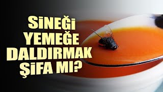 Sinek Hadisi : Sinek Kanadında Panzehir Var Mı ?/ Sineği Yemeye Daldırıp Yemek Şifa Mıdır ? Resimi