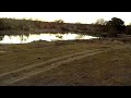 Djuma Private Game Reserve Live Stream