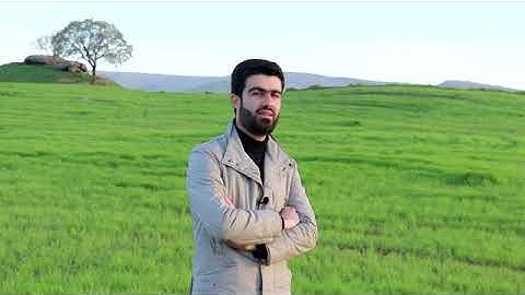 سورة الضحى ) تلاوة القارئ محمد سيد جلال