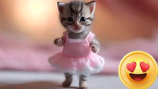 Aww Cute Baby Animals Videos Compilation | Funny and Cute Moment of the Animals - CB by CatBlatt 1,769 views 9 months ago 4 minutes, 28 seconds