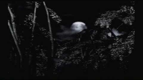 Fatal Frame 1 Blind Playthrough - Part 1