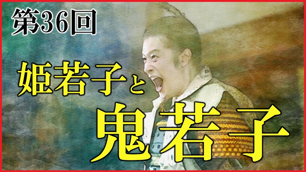 【豊臣兄弟】第36回「姫若子と鬼若子」予習解説【なぜ四国攻めは始まった？｜秀吉の関白就任｜関白相論｜大河ドラマ｜日本史】