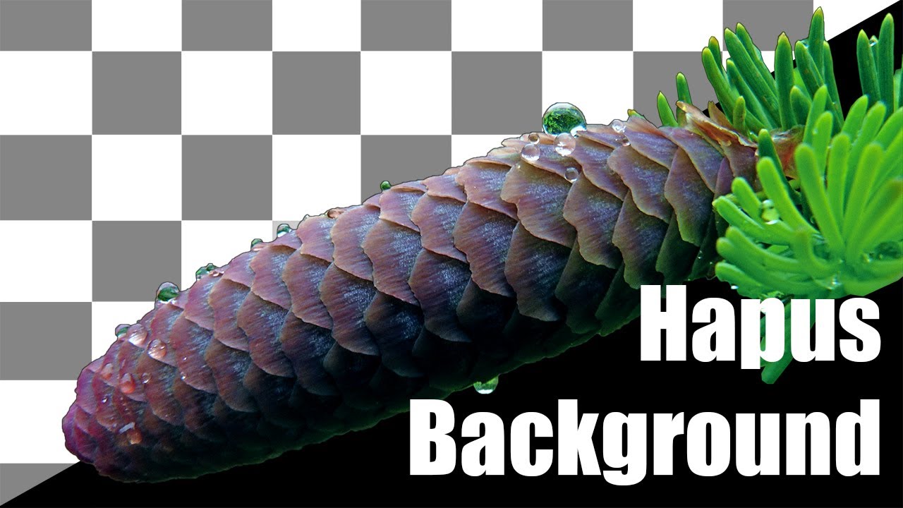 Hapus Background Foto Gambar Photoshop Tutorial Edit Cs6 Bahasa Indonesia