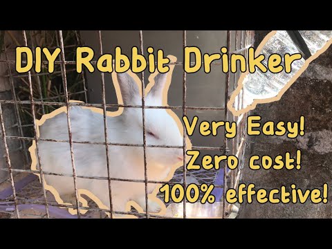 Video: How To Make A Rabbit Drinker