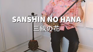 SANSHIN NO HANA - 三線の花 - Okinawa Sanshin Cover (Begin)
