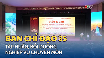 Ban Chỉ đạo 35 Trung ương tập huấn, bồi dưỡng nghiệp vụ chuyên môn | THLC