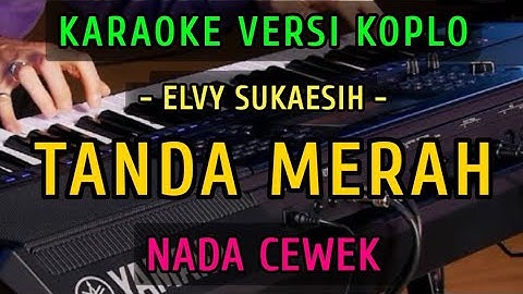 TANDA MERAH ~ ELVY SUKAESIH || KARAOKE NADA CEWEK || VERSI KOPLO