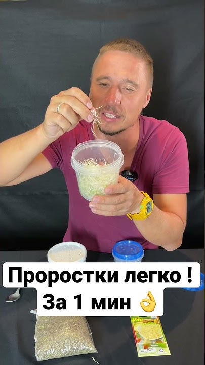 Проростки Дома Технология проращивания Своими руками ростки в банке Маш ...