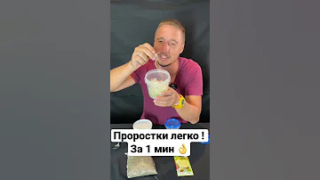 Проростки Дома Технология проращивания Своими руками ростки в банке Маш и люцерна