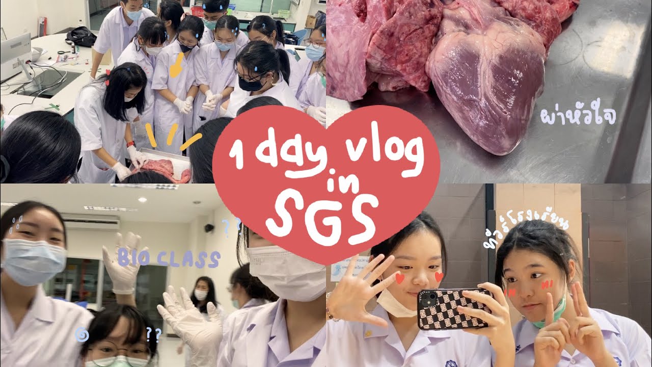 •₊˚vlog 001 | 1วันในรร.สาธิตมศว ประสานมิตร ทำแลป สอบสอบสอบ!?