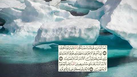 547-page - سعد الغامدي - -سورة - الحشر -AL-HASR / L'EXODE - 59