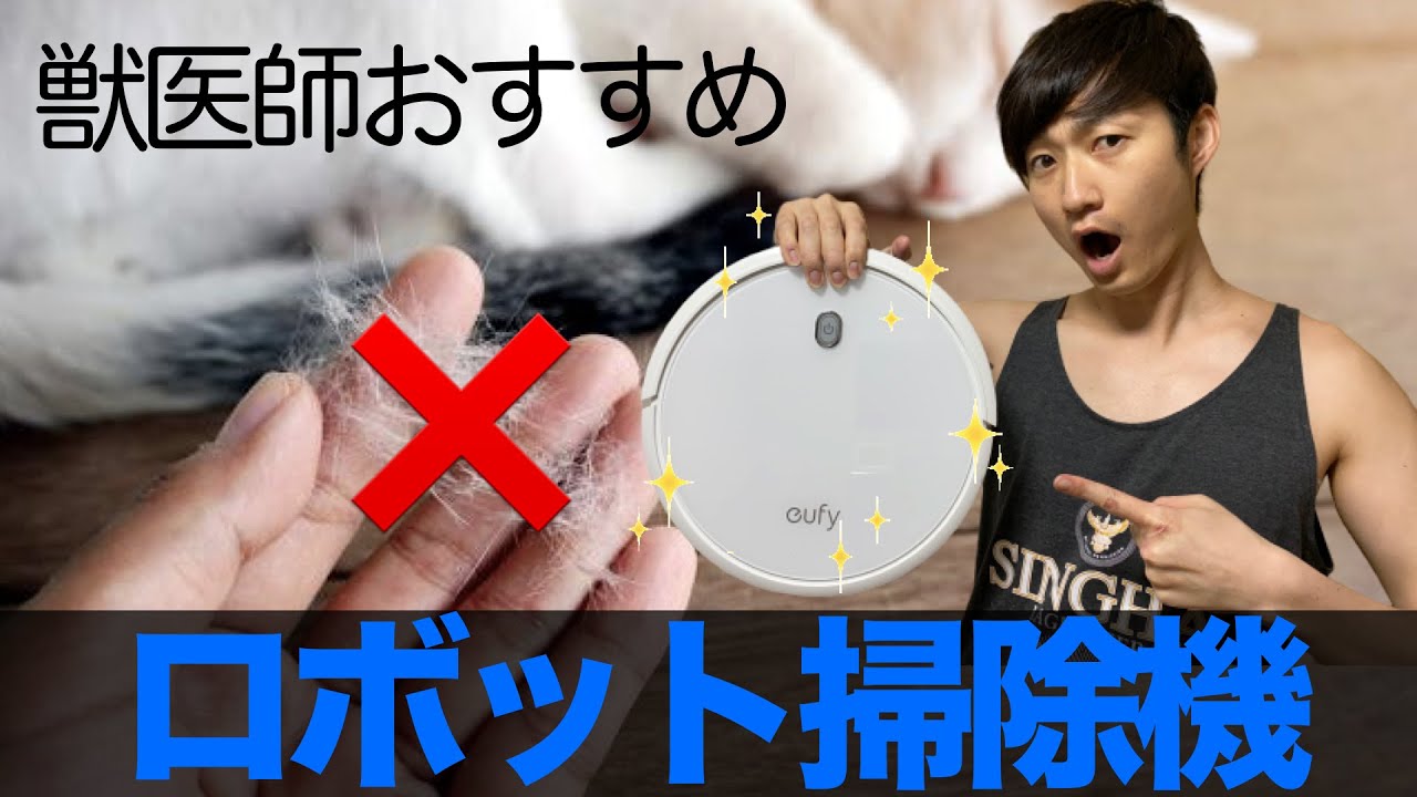 コスパ最強 ペットの毛を吸いまくるロボット掃除機がマジで便利すぎる Youtube コスパ最強 ペットの毛を吸いまくるロボット掃除機がマジで便利すぎる Youtube