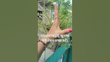 Do you forget quickly ☑️ Try this            #acupressure #exercise #therapy #memory #mudra #shorts