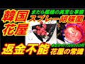 【韓国は花屋の常識】韓国の花屋がまさかのスプレー胡蝶蘭、これが花屋の常識だと返金不能!