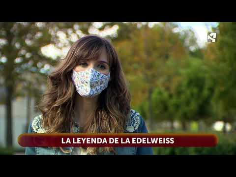 Video: Edelweiss - la flor de las tierras altas