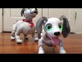 Aibo ERS-1000 Meets Zoomer Playful Pup